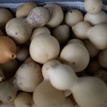 【物欲制御】新しいレンズが欲しくなったときの処方箋